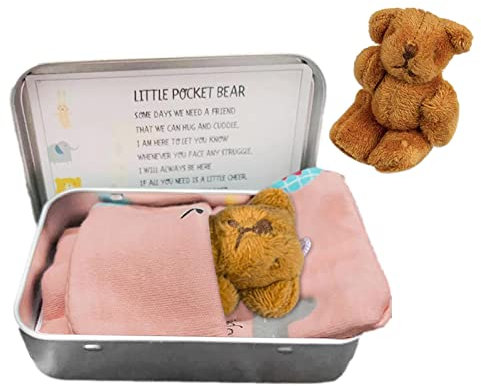 Little Pocket Bear Tin - Comfortable Tiny Bear In Box - Bear In A Tin Box - Small Bear Toys - Worry Dolls In A Box - Stuffed Bear In A Tin For Kids -