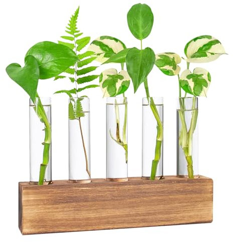 Hwtcjx Jarrón Hidropónica, Estación De Propagación para Plantas, Terrario con Soporte Madera, Florero Cristal, Jarrones Vidrio Macetas para Interior Decoración Mesa Oficina Casa Jardín (5 Botellas)