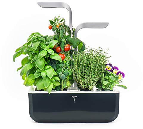 Véritable® SMART (Soft Black) - Indoor-Garten Made in France - Intelligenter autonomer Garten mit Adapt-Light-Technologie - Mit 4 Lingots®