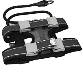 Cesar Millan Pack Leader Collar™ - Trainingshalsband des Hundeflüsterers Cesar Millan (Groß, Blau)