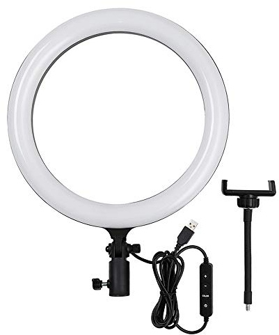 Godox LR120 12-Zoll LED-Ringlicht 3000K-6000K Fülllicht Zweifarbige Temperatur Einstellbare Helligkeit USB-Stromversorgung mit Telefonhalter für Live-Streaming, Selfie, Make-up