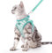 Supet Katzengeschirr und Leine, weiches Netzgewebe, verstellbares Katzengeschirr mit reflektierendem Gurt, für Spaziergänge mit Katze und Welpen, Kaninchen