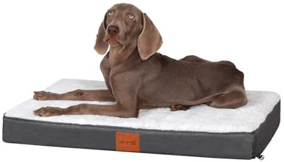 KYG Orthopädisches Hundebett Grosse Hunde Hundekissen Waschbar Hundematte für mittelgroße, kleine Hunde Flauschig Hundematratze, M, 76x50x7.5cm