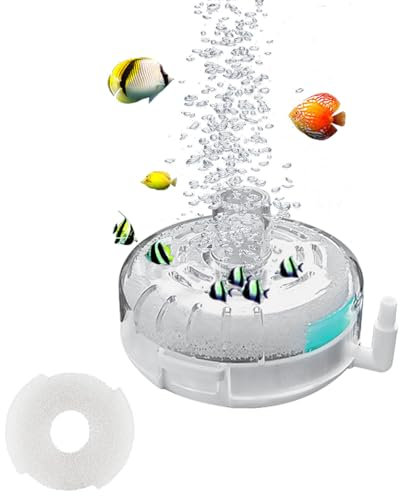 SHENGYIG Filtro Mini per Acquario, 55 x 80 mm - Filtro Piccolo per Acquario, Kit Filtro in Plastica con Spugne e Pietre Filtranti, per Casa e Vasche per Pesci