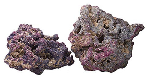 Carib Sea Aquatics Life Rock Display Box, 20 lb