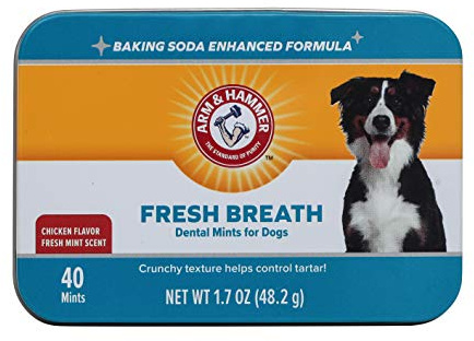 Arm & Hammer for Pets Dog Dental Breath Mints with Baking Soda, Chicken Flavor Dental Treats to Help Freshen Dog Breath and Support Oral Care, Fresh Mint Scent, 1.7 Oz