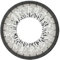 Matlens – EOS Farbige Kontaktlinsen ohne Stärke circle lenses gray grau J-203 2 Linsen 1 Kontaktlinsenbehälter 1 Pflegemittel 50ml 000
