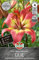 Sperli 263909, Premium Lilie Linda Cancun, Gartenlilie für Gruppenpflanzung, gute Schnittblume, winterhart mehrjährig, Nektarspender für Nützlinge