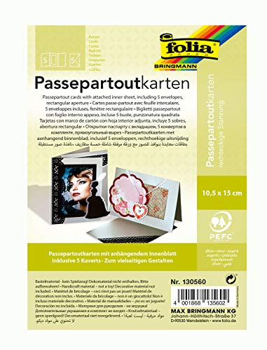 folia 130560 - Passepartouts mit rechteckiger Stanzung, ca. 10,5 x 15 cm, 5 Karten (220 g/qm) und Kuverts, silber - ideal für Einladungen, Glückwunsch- oder Grußkarten