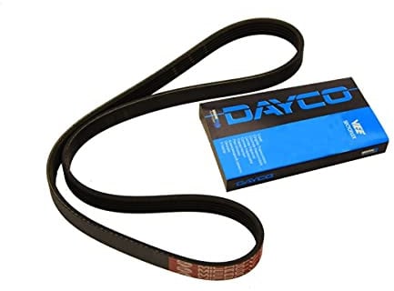 Dayco 5PK1010 Keilrippenriemen