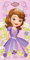 Jerry Fabrics Handtuch Prinzessin Sofia