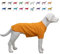 Lovelonglong Hund T-Shirt, 100% Baumwolle, Haustier T-Shirt, Hund-Unterhemd T-Shirts Für Dackel, Corgi Orange D-XL