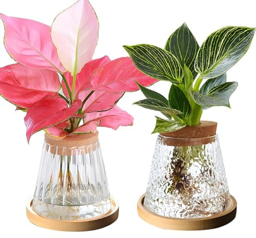 2PCS Plants Propagation Station, Hydroponics Glass Vase High-Density Borosilicate Glass Plant Terrarium Jar Hydroponics Propagation Station with Tray for Home Office Decor (Set 3)