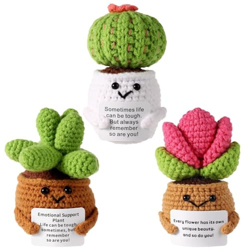 3pz Piante Grasse Uncinetto Positive, Succulente Positive Cactus Positivo Succulente Uncinetto Cactus Uncinetto Piante All'Uncinetto per la Decorazione della Festa Regalo Incoraggiante