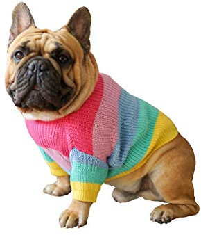 Khemn Bulldogge Regenbogen Strickpullover Hundepullover Niedliche Hundekleidung für Französische Bulldogge/Englische Bulldogge/Bullterrier/Mops (M)