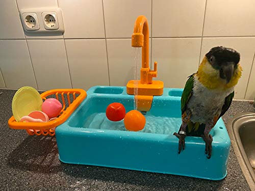 Gobabo Vasca da bagno per uccelli Pappagalli Piscina Vasca da bagno per uccelli Ciotola per uccelli Vasca da bagno automatica per animali domestici con rubinetto Vasca da bagno per uccelli
