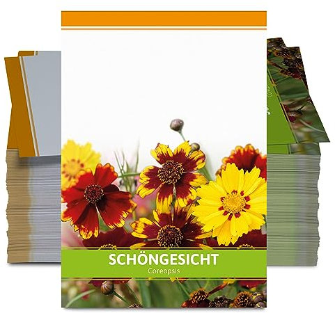 FLORTUS Mädchenauge als Gastgeschenke (100 Stück) | Blumensamen als Dankeschön Geschenke, Mitgebsel & Werbegeschenke | Schöngesicht Blumen