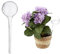 Relaxdays Bewässerungskugel 2er Set, dosierte Pflanzen Bewässerung, Blumentopf, Gießhilfe Büro, Glas Ø 9 cm, transparent