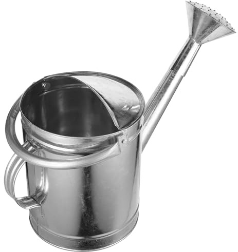 5l Gießkanne mit Sprühauslauf, Eisen, Silber, Langer Auslauf | Präzises Gießen ohne Verschütten, mit Deckel und Griff, für Innen und Außen Zufälliger Stil