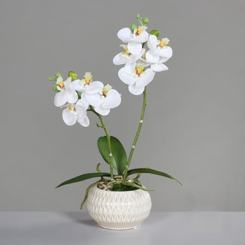 DPI künstliche Orchidee REAL Touch weiß in Keramiktopf H. 50cm Kunstblumen
