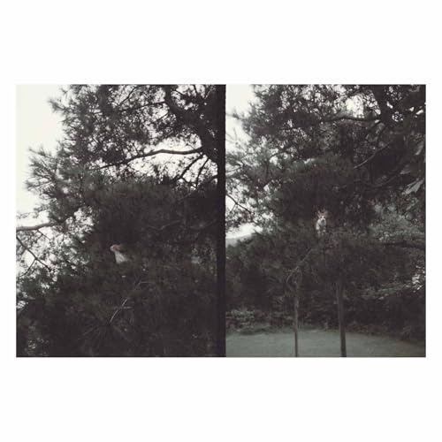 just like any other day (어느날) : background music for your mundane activities [VINYL]