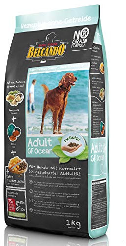 Belcando Adult GF Ocean [1 kg] getreidefreies Hundefutter | Sortenreines Trockenfutter ohne Getreide | Alleinfutter für ausgewachsene Hunde ab 1 Jahr
