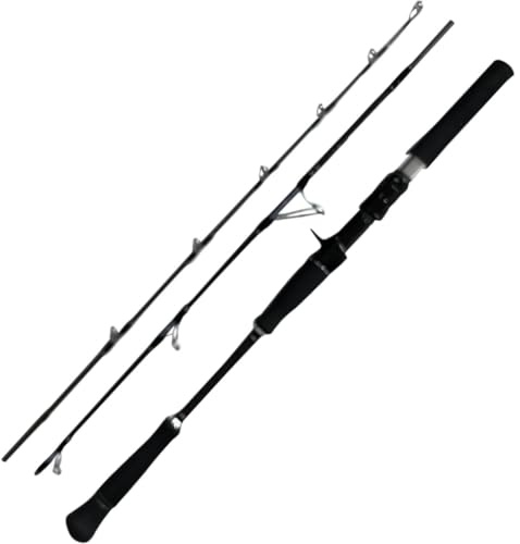 Hearty Rise Skywalker Norway Jigging Cast 1,87m 50-150g - Reiserute, Angelrute zum Reisen, Spinnrute