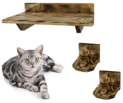 Katzenliege Kletterwand Wandmontage Katzenmöbel Klettern Katzenwand Katzentreppe Katzenstufen Set geflammt 2 Stufen + 1 Bett