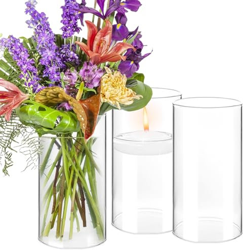 3 Stück 10 * 15cm Glaszylinder Vase: Glasvase Zylinder Glaszylinder für Kerzen Kleine Vasen für Tischdeko für Wohnzimmer Wedding Decoration