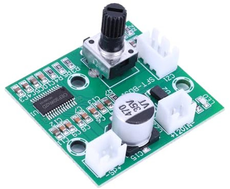 Fegtrtyoa 60W High Power Mono Amplifier Audio Board Class D HIFI Digital Mini Power Amplifier Module Amplifier Audio Module