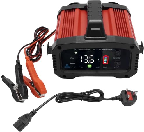 Ollanoos 25Amp Portable Car Battery Charger, 12V/24V Intelligent Trickle Charger, Smart Maintenance Charger for LiFePO4, AGM, and Lead Acid Batteries