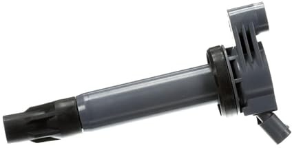Delphi GN10316-12B1 Ignition Coil
