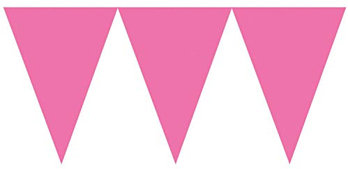 Pennant Banner Brght PNK