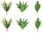 ShoppeWatch Cactus Artificiales sin Maceta 6 Uds - Plantas Artificiales Realistas para Decoracion Hogar y Oficina - Suculentas Plantas Artificiales Decorativas Pequeñas - AF18