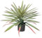 Briful Grandes plantes d'agave artificielles en pot - 44 cm - Plantes artificielles décoratives d'intérieur - Plantes vertes d'agave artificielles pour la décoration de la maison et du bureau