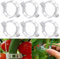 100 Stücke Pflanzenclips, Rankhilfen für Kletterpflanzen Pflanzenklammern, Kunststoff Tomatenklammern für Kletterpflanzen, Pflanzen Clips, Blumen klammern für Gemüse Tomate Pflanzen Befestigung