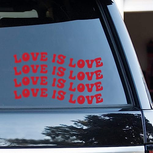 Yelolyio Love is Love Valentinstag Aufkleber für Wasserflaschen, Telefon, Laptop, Skateboard, Auto, Pansexuell, LGBTQ Fenster Auto Vinyl Aufkleber, Stoßstangenaufkleber, 2er Set, 15 Zoll