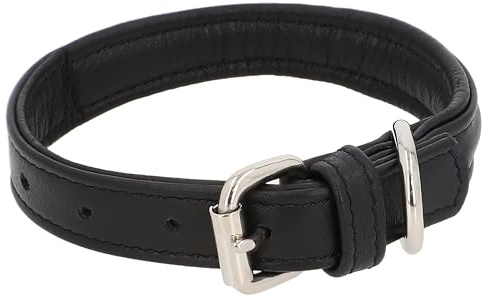 Gusti Leder Hundehalsband Anselm - Lederhalsband Hund Haustier Vierbeiner Schwarz Leder