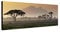 Wandbild auf Leinwand als Panorama in 120x40 cm Afrika bei Sonnenuntergang! Afrikanische Savanne mit Baum und Berge.Serengeti mit Graslandschaft.