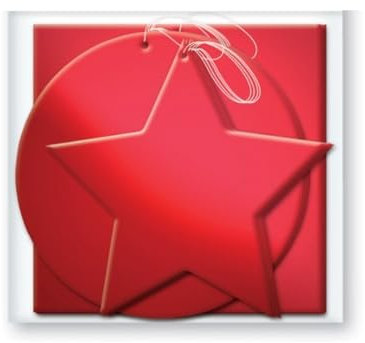 The Home Fusion Company 12 X Folien Weihnachten Geschenk Form Geschenkanhänger in Silber oder Gold - Rot