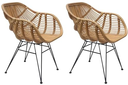 Bo Living Dining Chairs, Set of 2, Rattan and Iron, Natural, One Size