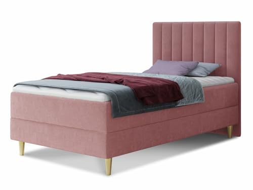 Boxspringbett Gold Mini mit Bettkasten, Bonell-Matratze und Topper - Einzelbett mit Matratzentopper, Polsterbett, Bett, Schlafzimmer, Jugendzimmer, Velours Stoff (Pink (Manila 09), 100 x 200 cm)