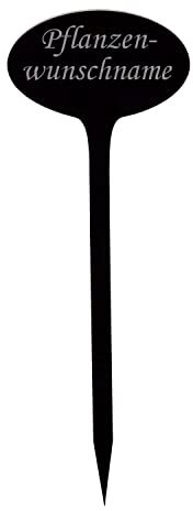 Bütic GmbH Plexiglas® Pflanzschilder Oval schwarz - Gartenstecker Kräuterschilder Pflanzenstecker - wetterfest und elegant, Pflanzenname:Schnittlauch