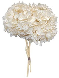Mazzo di Ortensie stabilizzate colore Crema d. 20cm