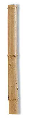 Bambú Decorativo Tutor Ø85Mm X 2,4M Nortene