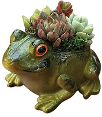 XZJMY Pots de Fleurs pour Plantes Grasses - pour décoration de Grenouille et de Petits Animaux - Pot de Fleurs Mignon en Forme de Cactus - pour la Maison, Le Bureau, Le Bureau - Mini décoration