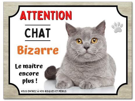 Plaque attention chat bizarre humour panneau monte la garde pancarte chartreux
