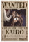 Anime Kaido Bounty Wanted Drucke, Poster, Leinwand, Wandkunst, Ölgemälde, Dekoration, 30 x 45 cm