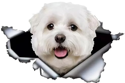 Autoaufkleber Malteser Aufkleber 15cm(5.9 Inch) Malteser Reflektierende Aufkleber 3D Zerrissen Autoaufkleber Haustier Hund Lustig Aufkleber Maltese Car Sticker Lustig Dekor