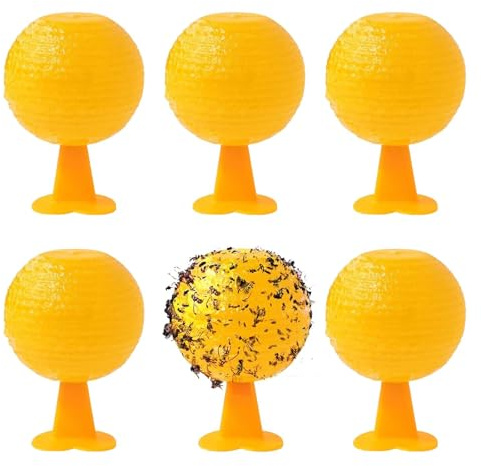 6 Stück Fruchtfliegenfalle, Universelle Obstfliegenfalle für Küche & Garten, Wasserabweisende Klebefalle, Ungiftig & Effektiv, Für Innen- & Außenbereich (Küche, Balkon, Obstgarten)